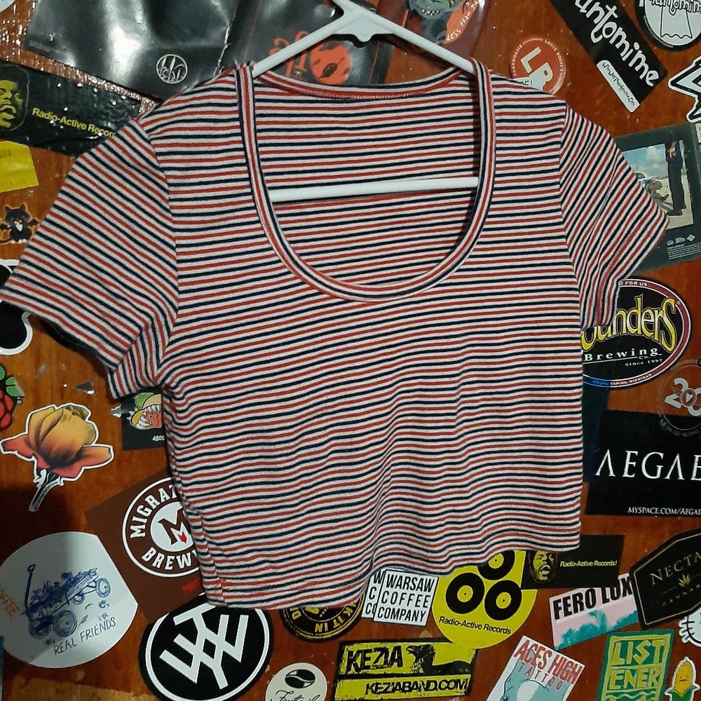 Red White & Blue Striped Crop Top
